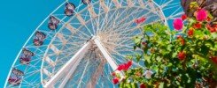 white ferris wheel under blue sky during daytime